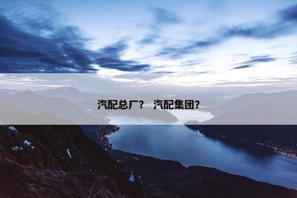 汽配总厂？ 汽配集团？