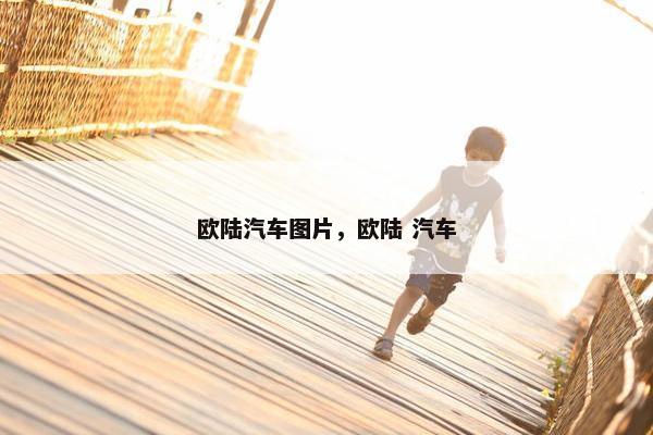 欧陆汽车图片，欧陆 汽车