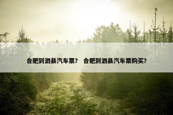 合肥到泗县汽车票？ 合肥到泗县汽车票购买？