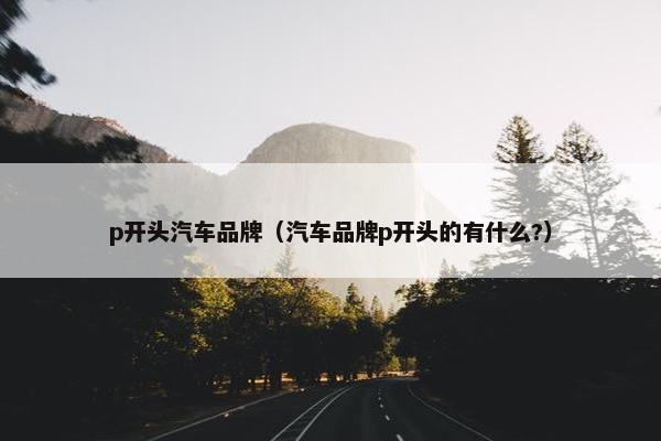 p开头汽车品牌（汽车品牌p开头的有什么?）