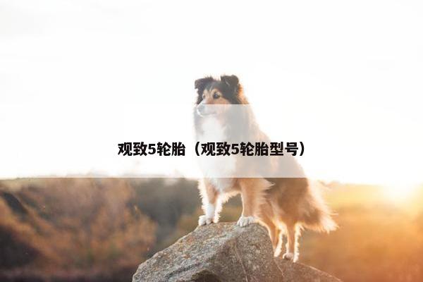 观致5轮胎（观致5轮胎型号）