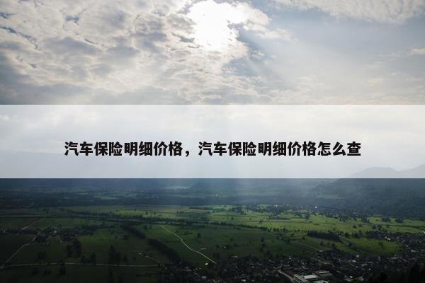 汽车保险明细价格，汽车保险明细价格怎么查