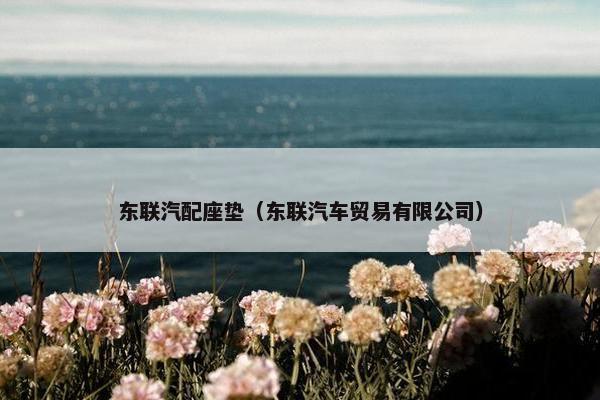东联汽配座垫（东联汽车贸易有限公司）