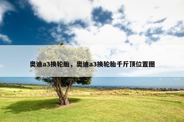 奥迪a3换轮胎，奥迪a3换轮胎千斤顶位置图