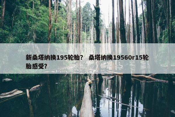 新桑塔纳换195轮胎？ 桑塔纳换19560r15轮胎感受？