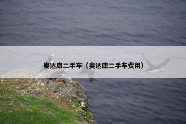 奥达康二手车（奥达康二手车费用）
