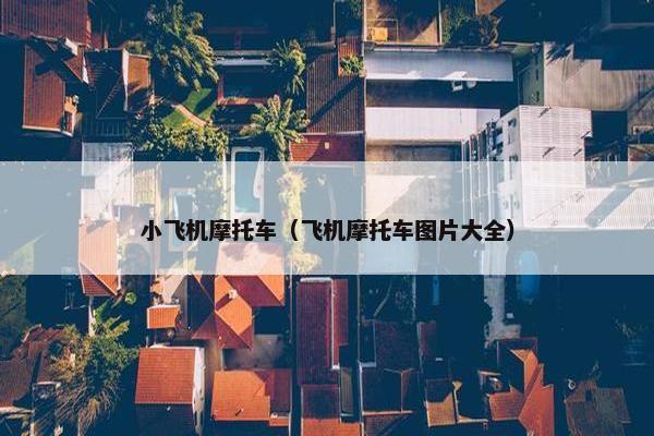 小飞机摩托车（飞机摩托车图片大全）