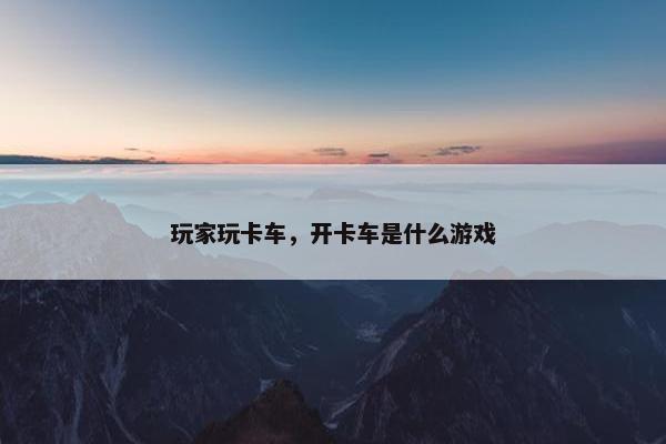 玩家玩卡车，开卡车是什么游戏