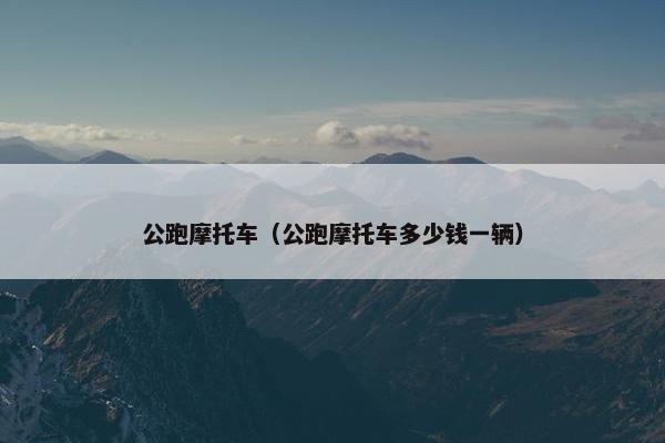 公跑摩托车（公跑摩托车多少钱一辆）