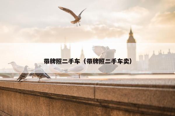 带牌照二手车（带牌照二手车卖）