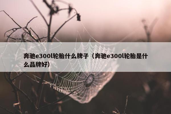 奔驰e300l轮胎什么牌子（奔驰e300l轮胎是什么品牌好）