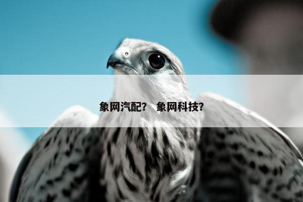 象网汽配？ 象网科技？