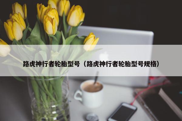 路虎神行者轮胎型号（路虎神行者轮胎型号规格）