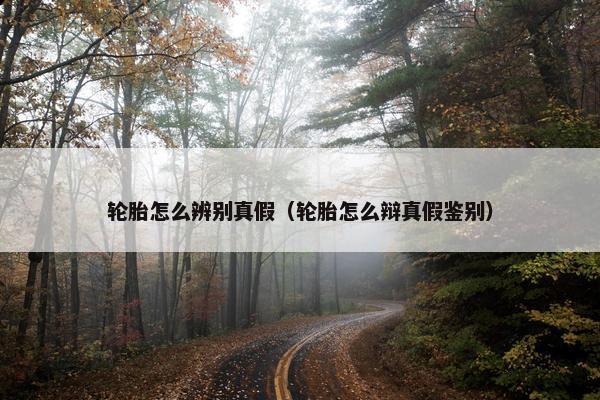 轮胎怎么辨别真假（轮胎怎么辩真假鉴别）
