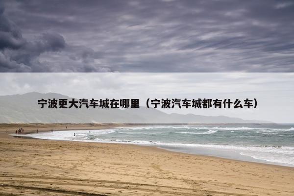 宁波更大汽车城在哪里（宁波汽车城都有什么车）