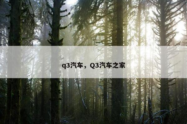 q3汽车，Q3汽车之家