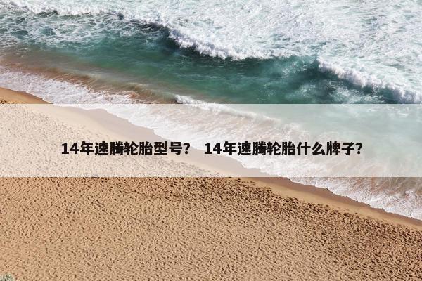 14年速腾轮胎型号？ 14年速腾轮胎什么牌子？