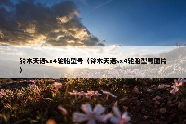 铃木天语sx4轮胎型号（铃木天语sx4轮胎型号图片）