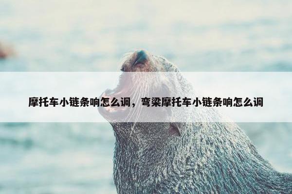摩托车小链条响怎么调，弯梁摩托车小链条响怎么调