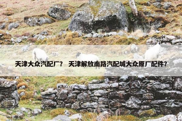 天津大众汽配厂？ 天津解放南路汽配城大众原厂配件？
