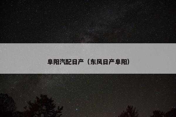 阜阳汽配日产（东风日产阜阳）