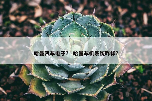 哈曼汽车电子？ 哈曼车机系统咋样？