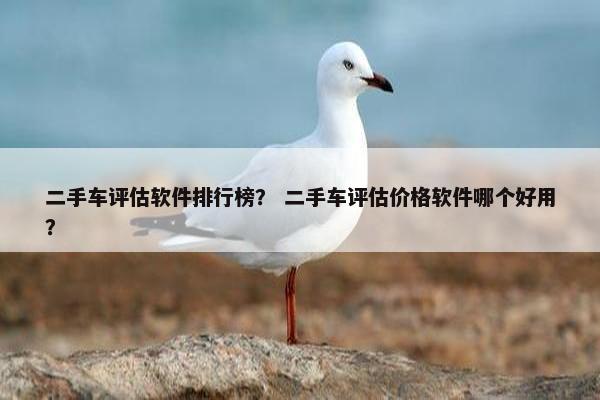 二手车评估软件排行榜？ 二手车评估价格软件哪个好用？