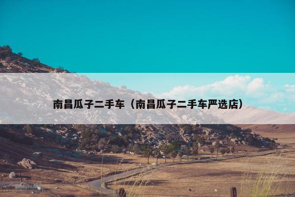 南昌瓜子二手车（南昌瓜子二手车严选店）
