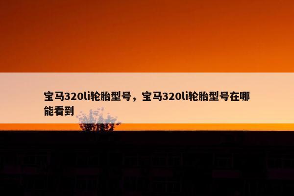 宝马320li轮胎型号，宝马320li轮胎型号在哪能看到