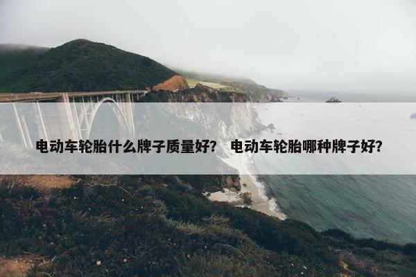 电动车轮胎什么牌子质量好？ 电动车轮胎哪种牌子好？