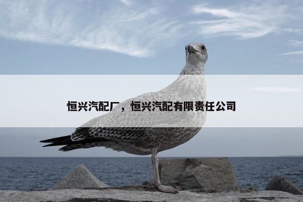 恒兴汽配厂，恒兴汽配有限责任公司