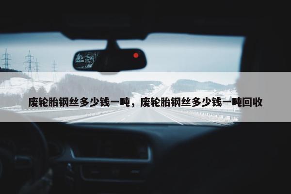 废轮胎钢丝多少钱一吨，废轮胎钢丝多少钱一吨回收