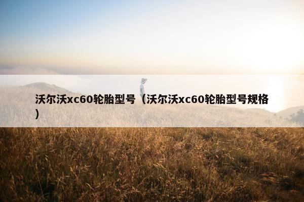 沃尔沃xc60轮胎型号（沃尔沃xc60轮胎型号规格）