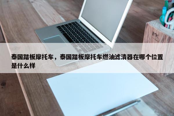 泰国踏板摩托车，泰国踏板摩托车燃油滤清器在哪个位置是什么样