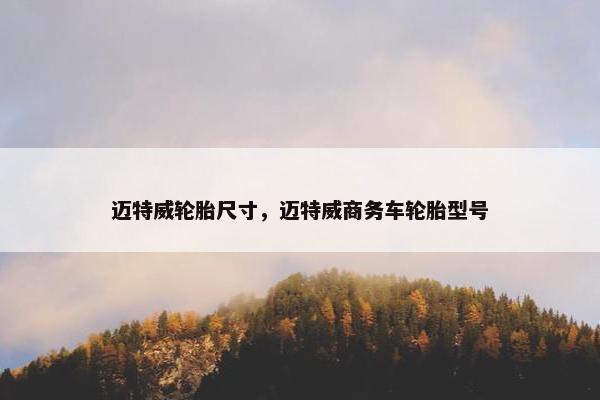 迈特威轮胎尺寸，迈特威商务车轮胎型号