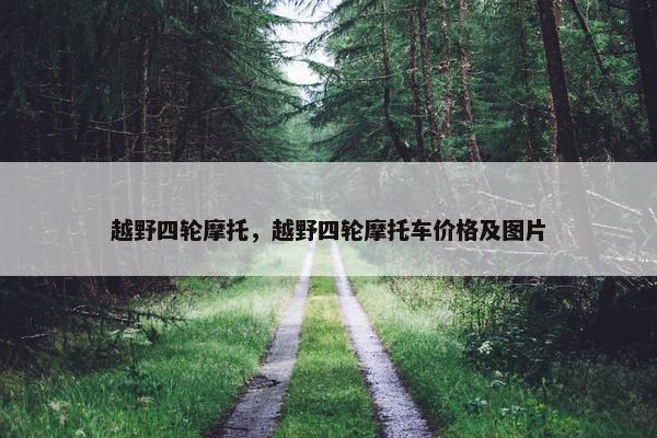 越野四轮摩托，越野四轮摩托车价格及图片