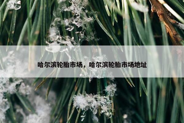 哈尔滨轮胎市场，哈尔滨轮胎市场地址