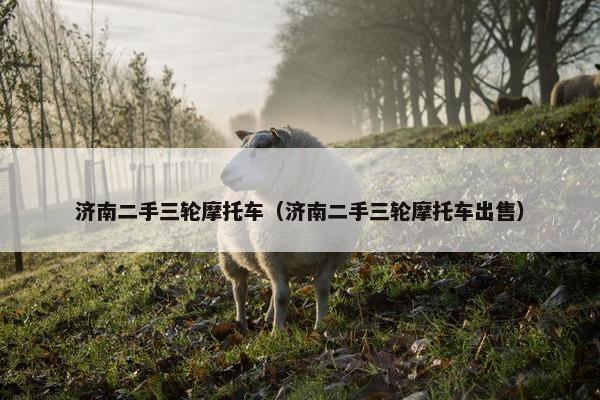 济南二手三轮摩托车(济南二手三轮摩托车出售) 济南二手三轮摩托车(济南二手三轮摩托车出售)