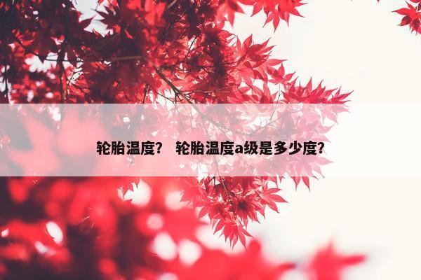 轮胎温度？ 轮胎温度a级是多少度？