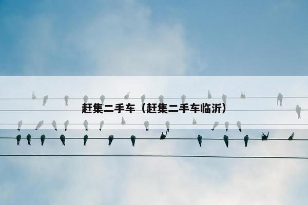 赶集二手车（赶集二手车临沂）