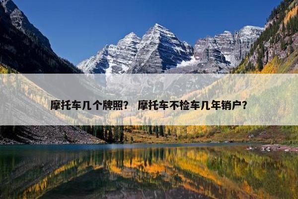 摩托车几个牌照？ 摩托车不检车几年销户？