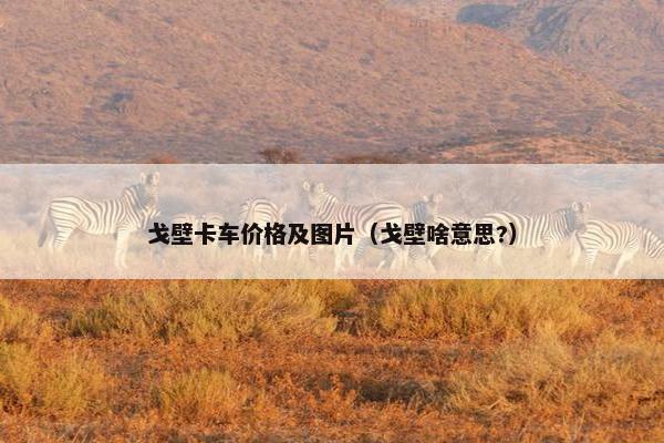 戈壁卡车价格及图片（戈壁啥意思?）