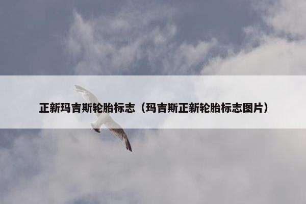 正新玛吉斯轮胎标志（玛吉斯正新轮胎标志图片）