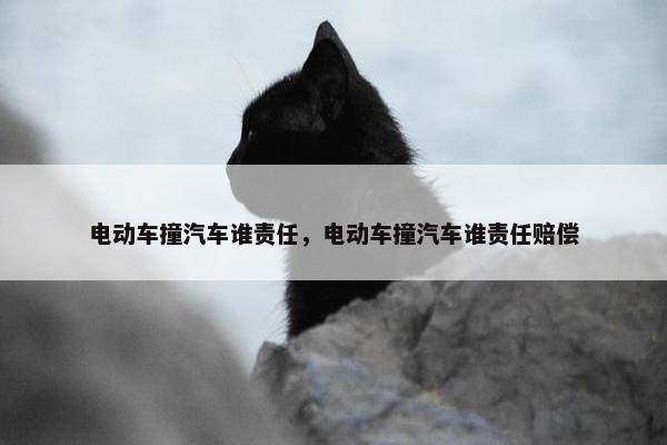电动车撞汽车谁责任，电动车撞汽车谁责任赔偿