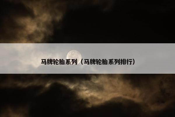 马牌轮胎系列（马牌轮胎系列排行）
