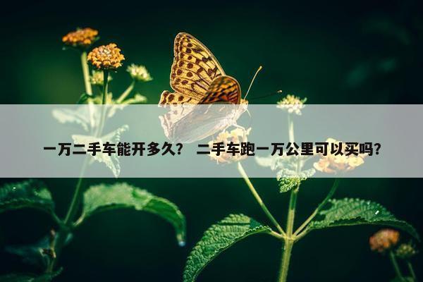 一万二手车能开多久？ 二手车跑一万公里可以买吗？
