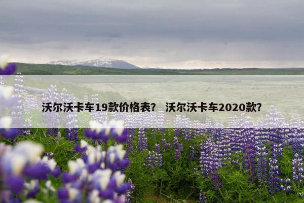 沃尔沃卡车19款价格表？ 沃尔沃卡车2020款？