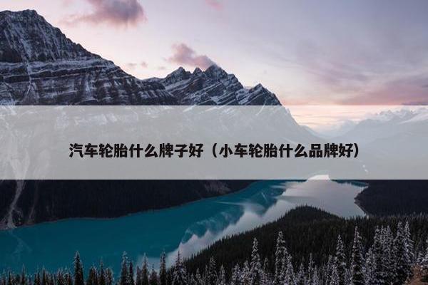 汽车轮胎什么牌子好（小车轮胎什么品牌好）