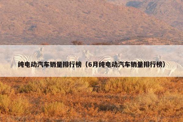 纯电动汽车销量排行榜（6月纯电动汽车销量排行榜）
