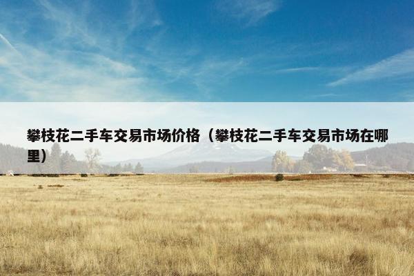 攀枝花二手车交易市场价格（攀枝花二手车交易市场在哪里）